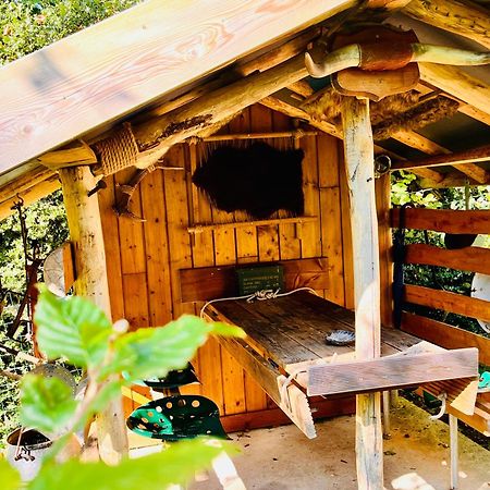 La Cabane Perchee Du Trappeur エクランヴィル エクステリア 写真