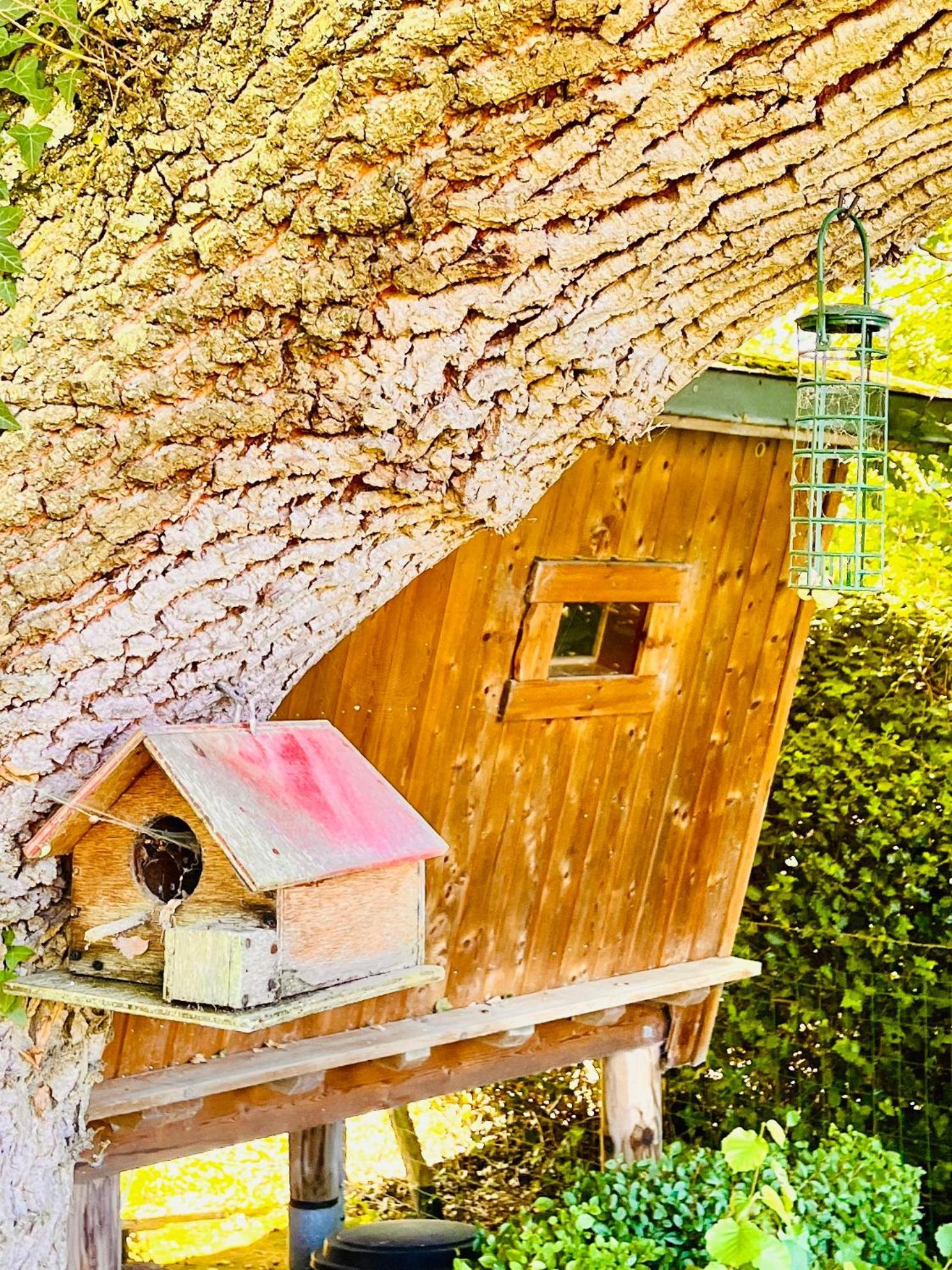 La Cabane Perchee Du Trappeur エクランヴィル エクステリア 写真